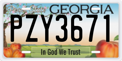 GA license plate PZY3671