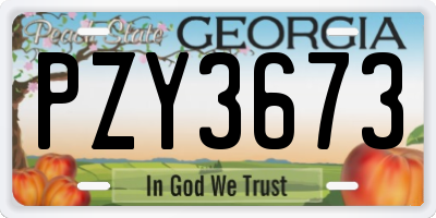 GA license plate PZY3673