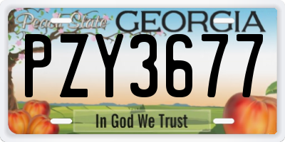 GA license plate PZY3677