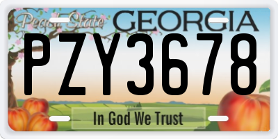 GA license plate PZY3678