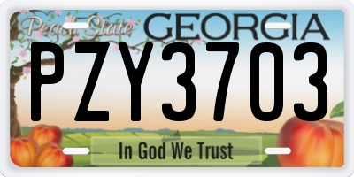 GA license plate PZY3703
