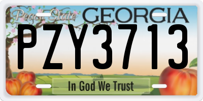 GA license plate PZY3713