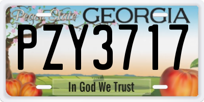 GA license plate PZY3717