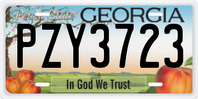 GA license plate PZY3723