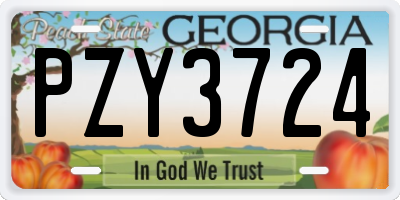 GA license plate PZY3724