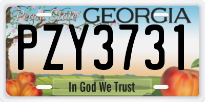 GA license plate PZY3731
