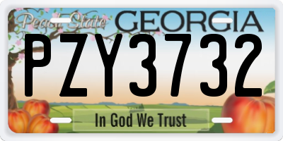 GA license plate PZY3732