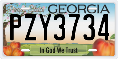 GA license plate PZY3734