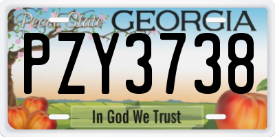 GA license plate PZY3738