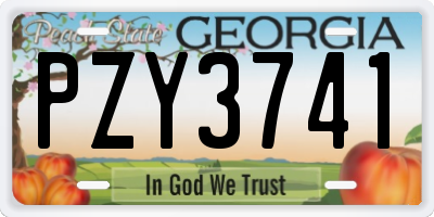 GA license plate PZY3741