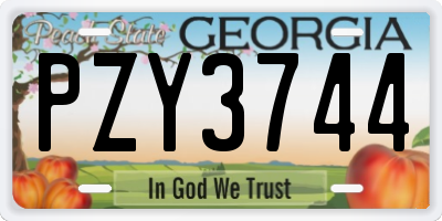 GA license plate PZY3744