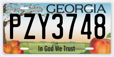GA license plate PZY3748