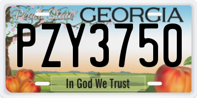 GA license plate PZY3750
