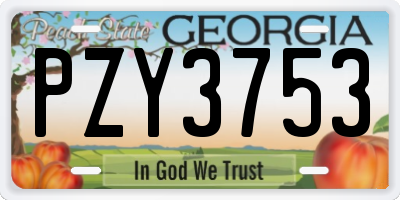 GA license plate PZY3753