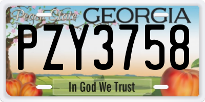 GA license plate PZY3758