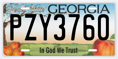 GA license plate PZY3760