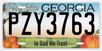 GA license plate PZY3763