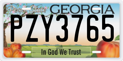 GA license plate PZY3765