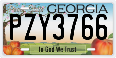 GA license plate PZY3766