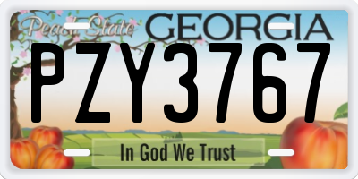 GA license plate PZY3767