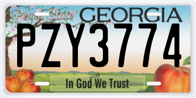 GA license plate PZY3774