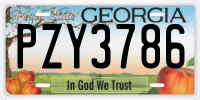 GA license plate PZY3786