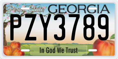 GA license plate PZY3789