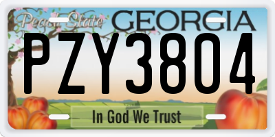 GA license plate PZY3804
