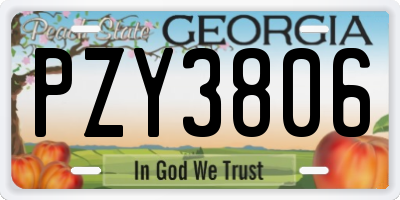 GA license plate PZY3806