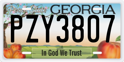 GA license plate PZY3807