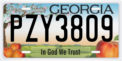 GA license plate PZY3809