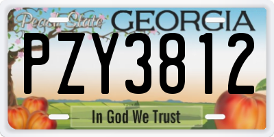 GA license plate PZY3812