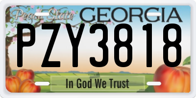 GA license plate PZY3818