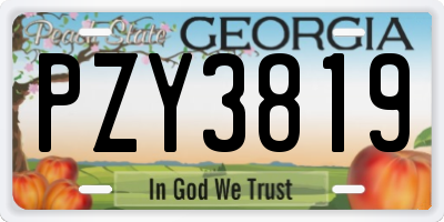 GA license plate PZY3819