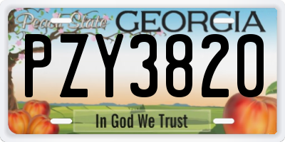 GA license plate PZY3820
