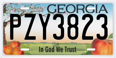 GA license plate PZY3823