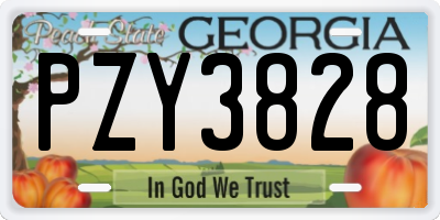 GA license plate PZY3828