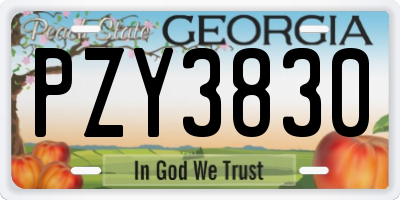 GA license plate PZY3830