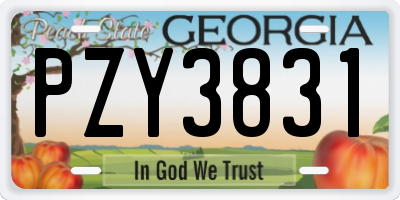 GA license plate PZY3831