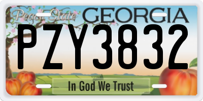 GA license plate PZY3832
