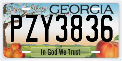 GA license plate PZY3836