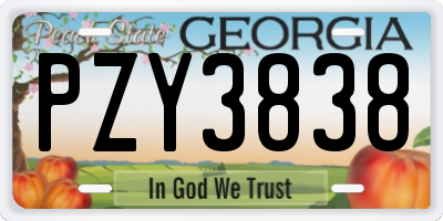 GA license plate PZY3838