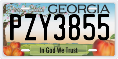 GA license plate PZY3855