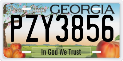 GA license plate PZY3856