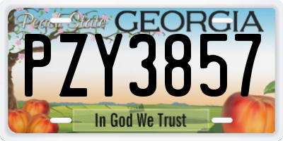 GA license plate PZY3857