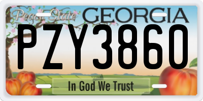 GA license plate PZY3860