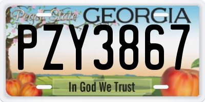 GA license plate PZY3867