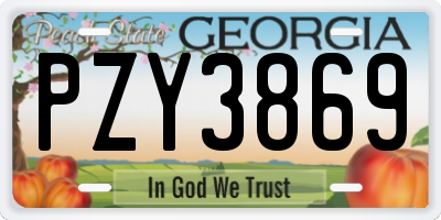 GA license plate PZY3869