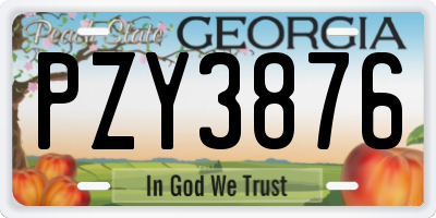GA license plate PZY3876