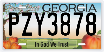 GA license plate PZY3878